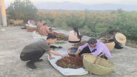 鄉村振興工作動態(第172期)